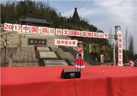 8+4线阵音响系统助阵四川兴文(国际)苗族花山节