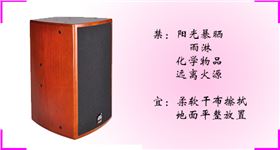 欧美风格 极悦娱乐KTV音响当然更受欢迎