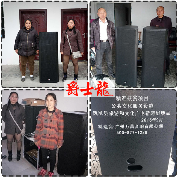 【湖南扶贫项目】文化设施采购专业音响套装