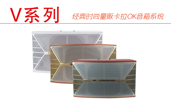 家用ktv音响设备哪个牌子好【极悦娱乐音响】