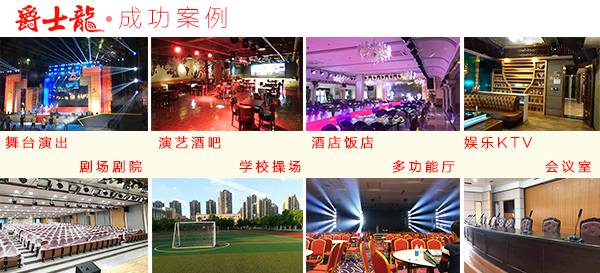 三分频专业舞台音响 极悦娱乐TW系列音箱