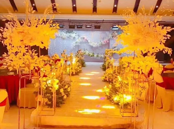 专业音响设备入驻山东日照良友大酒店【极悦娱乐音响】