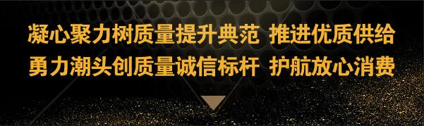 东莞极悦娱乐音响有限公司荣获2019年中国质量检验协会“3.15”产品和服务质量诚信单位