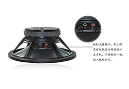 专业音响扬声器得到广西用户的认同【极悦娱乐】