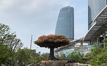 极悦娱乐户外音响系统护航厦门某城市公园焕新